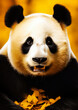 Animal portrait of a panda on a golden background conceptual for frame