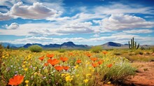 Usa Sonoran Desert Flowers Illustration Saguaro Nature, Southwest Plant, West Blooming Usa Sonoran Desert Flowers