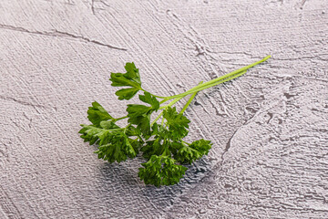 Green parsley leaves heap isolated