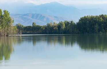 Sticker - mountains, hills,trees in the reflection of water