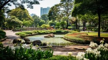Park City Botanical Gardens Illustration Outdoor Garden, Brisbane Australia, Tree Landscape Park City Botanical Gardens