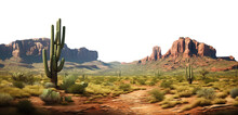 Saguaro Cactus In New Mexico Desert. Transparent PNG. Cacti, Cactus, Agave. Barrel Cactus, Organ-pipe Cactus, Prickly Pear