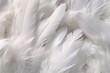 Weiße Federn als Hintergrundbild. Daunen für Kissen oder industrielle Nutzung.. Vogelfedern auf einen Haufen als Textur. 
