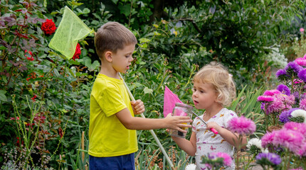 Wall Mural - children catch butterflies butterflies in a jar. Selective focus