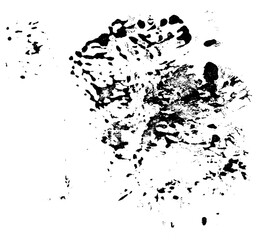 Poster - Black paint splashes on a white isolated background