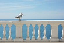 A Bird Standing On A White Railing