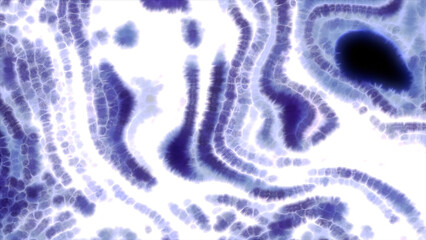 Poster - Purple and orange blots of paint. Motion. Bright clumps of paint spreading in different directions made in computer animation.