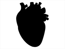 Human Heart Silhouette Vector Art White Background