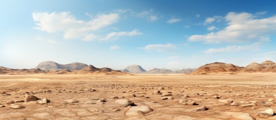 Canvas Print - Farafra Oasis in Egypt a desolate barren western desert with a scenic view