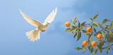 Fototapeta Pokój dzieciecy - white dove on blue sky