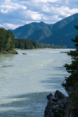 Wall Mural - A wide, full-flowing mountain river with a fast current. Large stones stick out of the water. The large turquoise-colored mountain river Katun in the Altai Mountains, Altai Republic.