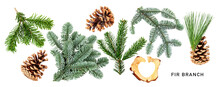 Fir Tree Branch And Cones Isolated. PNG With Transparent Background. Flat Lay. Without Shadow.