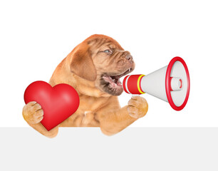 Poster - Happy Mastiff puppy holding red heart screaming into a megaphone above empty white banner. isolated on white background