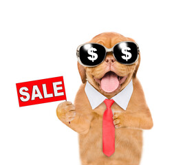 Poster - Funny dog wearing necktie and sunglasses with dollars sign shows signboard with labeled 