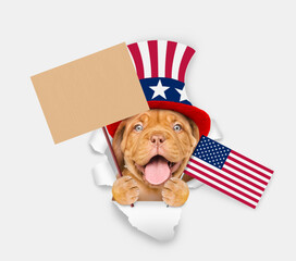 Poster - Happy Mastiff puppy wearing like Uncle Sam looking through a hole in paper and shows empty placard. isolated on white background