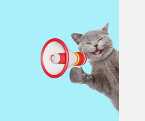 Poster - Happy cat screams into megaphone and looks from behind empty white banner. isolated on blue background