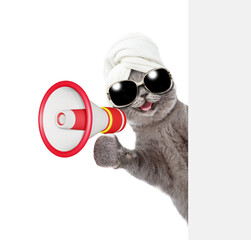 Poster - Happy cat with towel on it head looking from behind empty white banner and screaming into a megaphone. isolated on white background