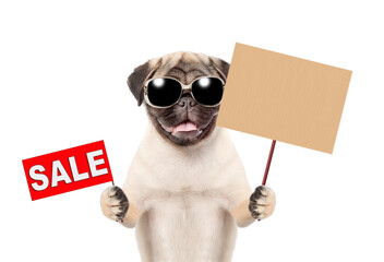 Poster - Pug puppy wearing sunglasses showing signboard with labeled 