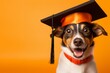 Happy dog with graduation cap on yellow background. Concept of education and learning.