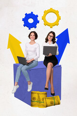 Wall Mural - Collage of two coworkers business ladies laptop remote job technical client support make profit for company isolated on white background