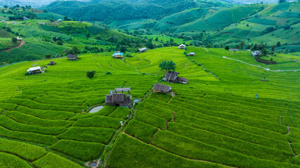 landscape for background of rice terraces field at Ban Pa Bong Piang Chiang Mai Province, Northern of Thailand, aerial view.