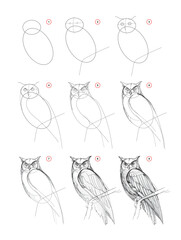 Wall Mural - Page shows how to learn to draw from life sketch an owl. Pencil drawing lessons. Educational page for artists. Textbook for developing artistic skills. Online education. Vector illustration.