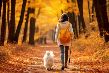 A senior asian woman is walking happy on a forest trail with a dog on a leash in a old and tranquil forest seen from the back - vibrant autumn coloration of leaves on a walk in spare or free time