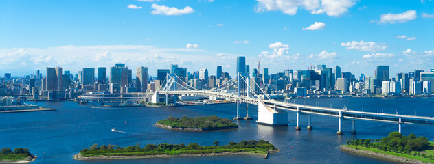 Wall Mural - Tokyo, Japan. The view of Tokyo from the popular sightseeing spot 