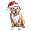 © MelissaMN - Pitbull dog wearing a red santa hat, for Christmas. Isolated, transparent background
