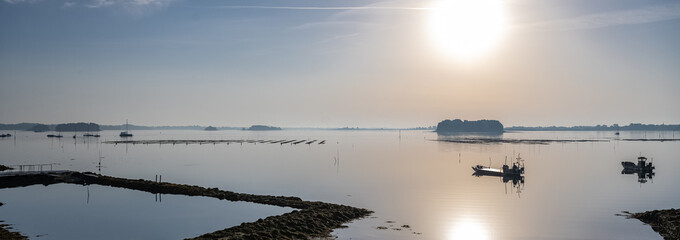 Wall Mural - Brittany, view of the Morbihan gulf, the Ile aux Moines, at sunrise
