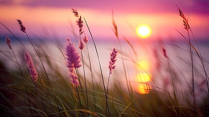 Dry grass and lakeside scene at sunset, blurred outdoor landscape in soft pink and blue, feeling of winter. Silhouette of reeds against sunrise backdrop autumn morning reflecting the sun and sky.