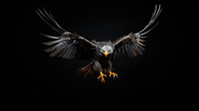 Beautiful Eagle Close-up On A Dark Background.