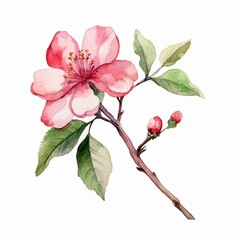 Poster - AI generated illustration of a watercolor painting of a tree branch with a delicate flower