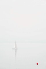 Canvas Print - the small sailboat is on the water behind it in the distance