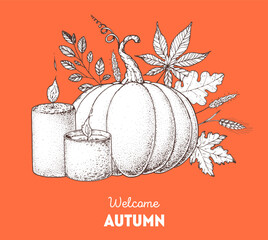 Cozy Autumn. Hand drawn vector illustration. Design elements. Pumpkin, candles, autumn leaves, twigs. Hand drawn sketch