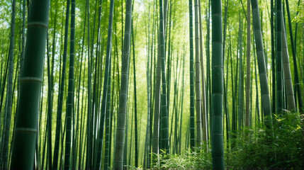  Verdant Bamboo Forest Exemplifying Sustainable Resources and Environmental Conservation - Asian Ecosystem Charm. Generative AI.