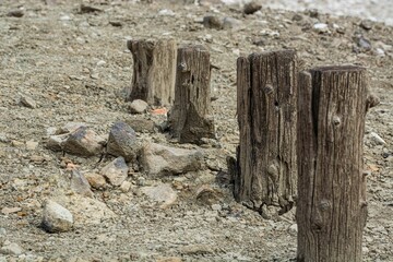 Sticker - a bird is standing on a stump near the shore with rocks and gravel