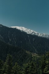 Canvas Print - Majestic mountain range covered in lush green vegetation with a snow-capped peak in Shogran Pakistan