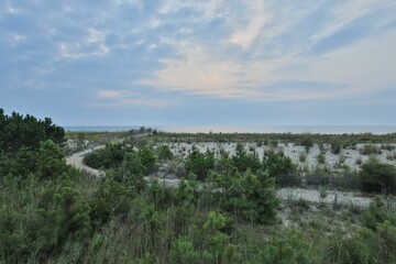 Wall Mural - a trail leads into the distance in a grassy area near the ocean