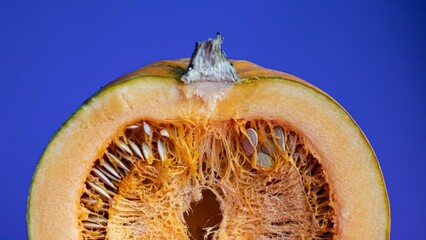 Poster - Ripe squash slice in half with colorful background