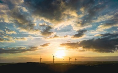 Canvas Print - Idyllic landscape featuring a field of windmills silhouetted against a vivid sunset sky