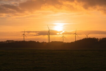 Poster - Scenic landscape with a field and several windmills against a breathtaking sunset on the horizon