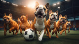 Fototapeta Sport - Group of french bulldog playing soccer in soccer stadium. stadium full of people with flags. Dark orange color palette. Cinematic perspective. Soccer scenes. Front view.