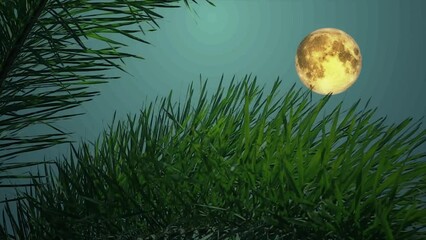 Wall Mural - Silhouette of palm leaves with Full Moon Background