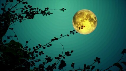 Wall Mural - Flower silhouette with Full Moon Background