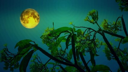 Wall Mural - Flower silhouette with Full Moon Background
