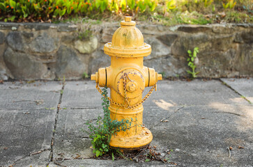 fire hydrant stands tall on a sunny street corner, ready to protect and symbolize safety in urban environments