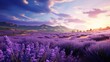 A picturesque field painted in vibrant purple hues, where the intoxicating fragrance of lavender flowers fills the air
