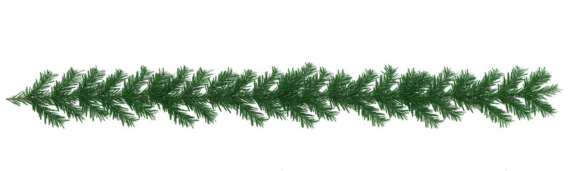 Wall Mural - Christmas tree branch border isolated on white transparent background, PNG. Xmas tree Fir pine tree garland 