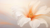 Fototapeta Tulipany - a close up image of a white flower, in the style of digital illustration